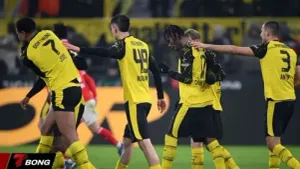 Xem trực tiếp Dortmund vs Atalanta rạng sáng 18/02/2026 và nhận định soi kèo chi tiết