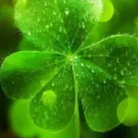 Avatar of luckyking999