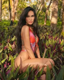 Megan Fox: Biểu tượng nhan sắc của Hollywood