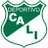 Logo of Deportivo Cali