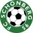 Logo of Schonberg 95