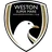 Logo of Weston Super Mare U18