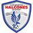 Logo of CD Halcones de Nayarit