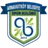 Logo of Arnavutköy BGS