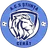 Logo of ACS Stiinta Cerat