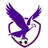 Logo of Boroondara Eagles (w)