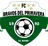 Logo of Bravos Primavera