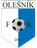 Logo of FK Olesnik