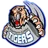 Logo of Azam Tigers FC