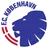Logo of FC Kobenhavn U19