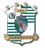 Logo of CSC Dumbravita U19