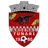Logo of CS Tunari U19