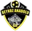 Logo of Beykoz Anadolu