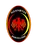 Logo of Igea Virtus