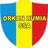 Logo of MKS Orkan Rumia