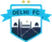 Logo of Delhi FC XI