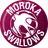 Moroka Swallows FC