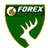 Logo of Forex Brasov