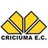 Logo of Criciuma U17