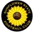 Logo of Sunflower State FC (W)