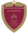 Al Wahda Abu Dhabi U21