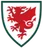 Logo of Wales (w) U17