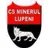 Minerul Lupeni