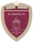 Al Wehda(UAE) U19