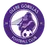 Glebe Gorillas FC