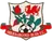 Aberbargoed Buds