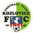 Kozlovice