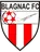 Logo of Blagnac U19