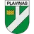 Logo of Plavinas DM