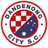 Logo of Dandenong City U21