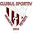 Logo of CSM Fetesti