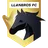 Logo of Llaneros FC