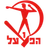 Logo of MS Hapoel Lod