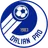 Dalian Professional(2009-2024)