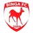 Logo of Binga
