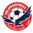Logo of SP Falcons