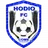 Logo of Hodio