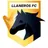 Picture for Llaneros FC U19