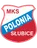 Logo of Polonia Slubice