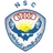 Logo of Al Nasr Cairo