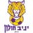 Logo of AS Holon Mor
