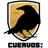 Logo of Cuervos FC