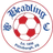 Logo of Beadling SC (W)
