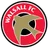 Logo of Walsall Reserve