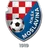 Logo of NK Moslavina Kutina