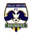 Logo of Hills Brumbies